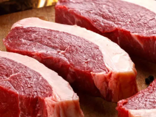 Quais são as melhores carnes para fazer hambúrgueres artesanais